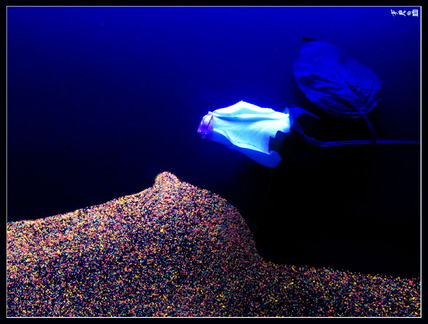 Blacklight Rose